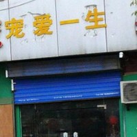 宠爱一生 封面小图