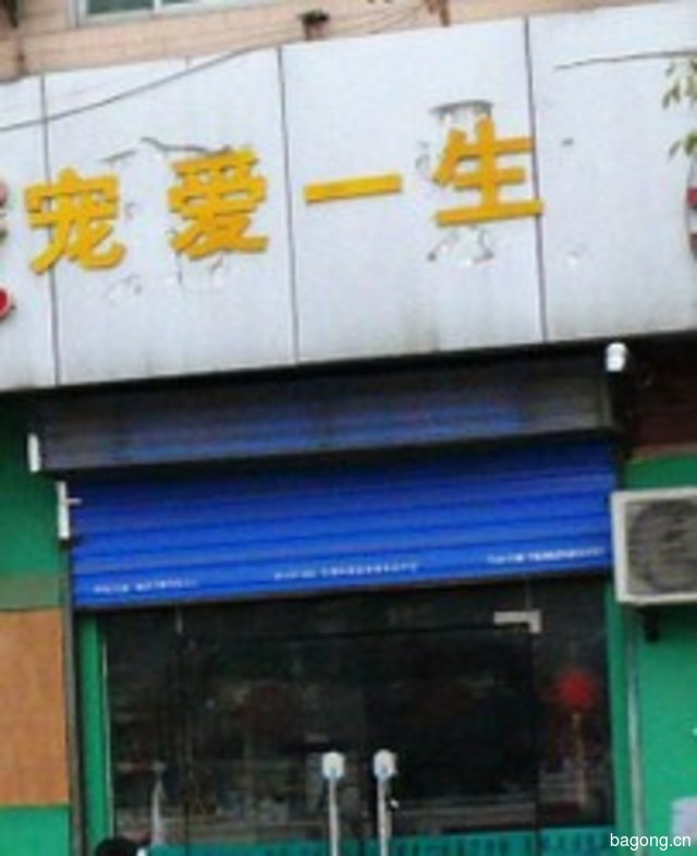宠爱一生 封面大图