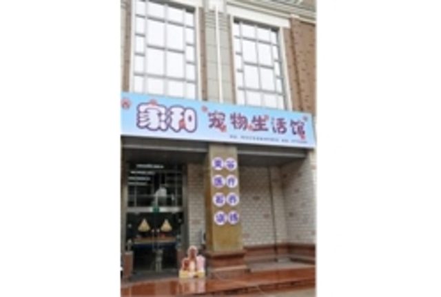 家和宠物 封面大图