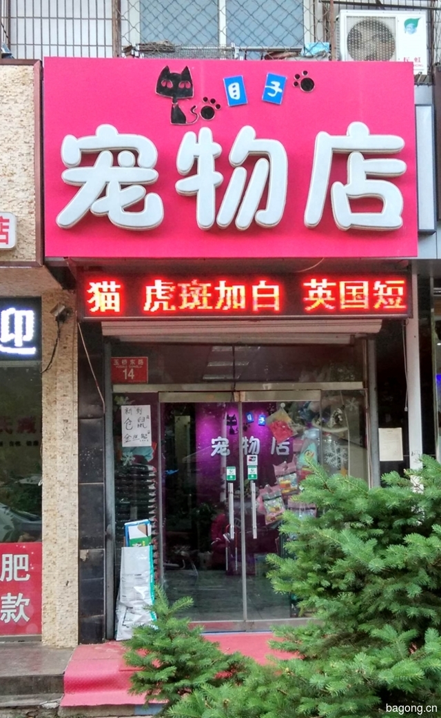 目子宠物店 封面大图