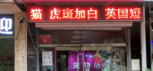 目子宠物店0