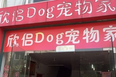 欣侣dog宠物家园3