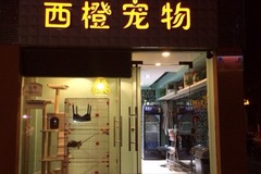 西橙宠物(桃园东路店)0