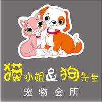 猫小姐&狗先生宠物会所 封面小图