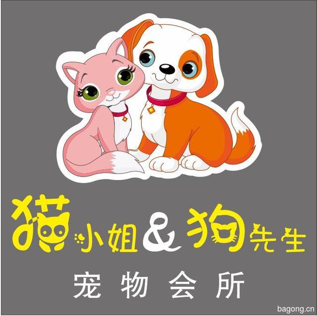 猫小姐&狗先生宠物会所 封面大图