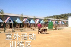 北京市俊鹏工作犬训练有限公司3