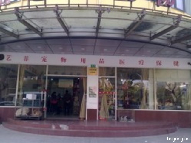 艺菲宠物店 封面大图