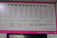 辛德瑞拉宠物1