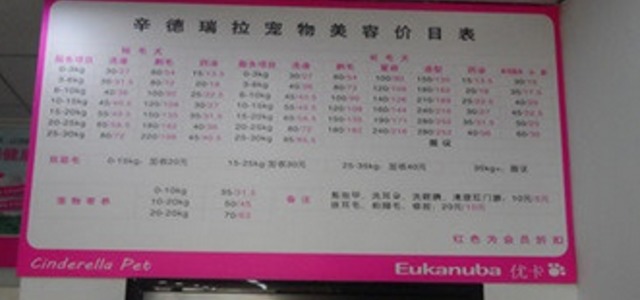 辛德瑞拉宠物1