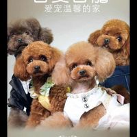 吾爱宠物 封面小图