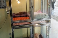 爱宠缘宠物店5