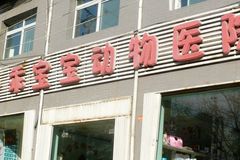 乖宝宝宠物医院环境0