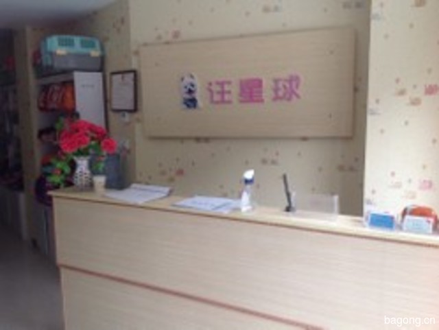 汪星球宠物店 封面大图