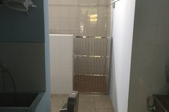 君宝宠物6