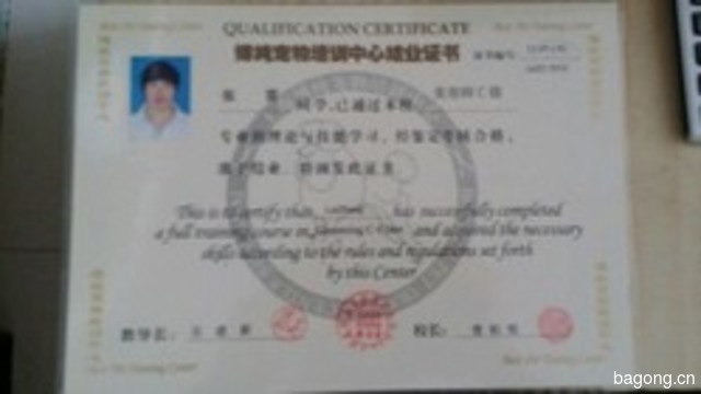 爱宠吧宠物店 封面大图
