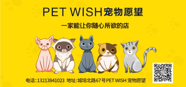 PET WISH宠物愿望1