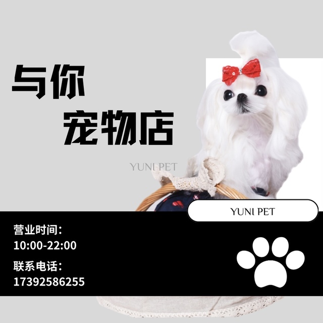 YUNI-PET 封面大图