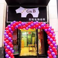 G＆B高端宠物会所 封面小图