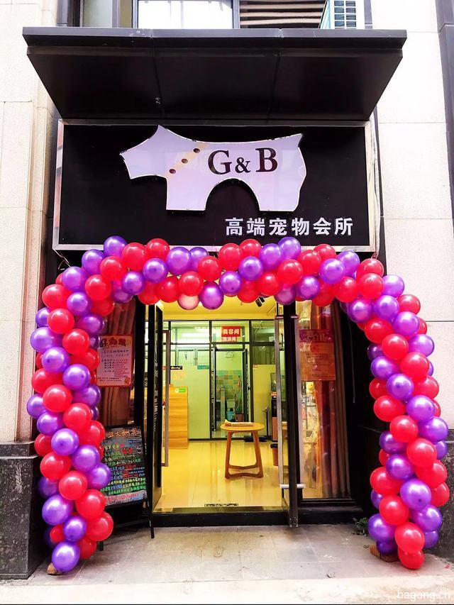 G＆B高端宠物会所 封面大图