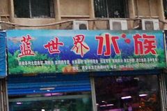 蓝世界水族0