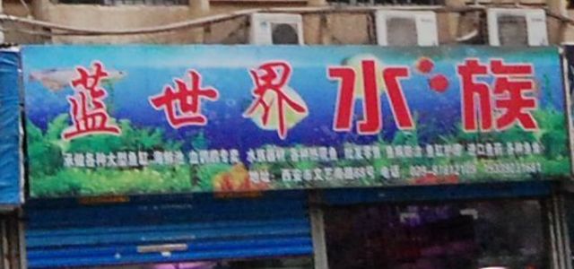 蓝世界水族0