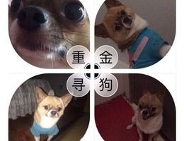 8月6日晚上在福州晋安区鼓山镇远...