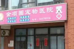 金项圈宠物医院环境0