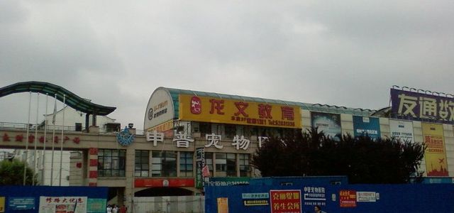 申普宠物医院(大渡河路店)0