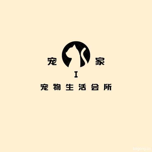 宠i 家宠物生活馆 封面大图