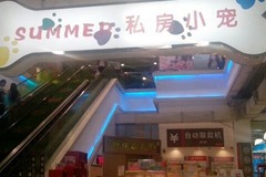 sumner 私房小宠4