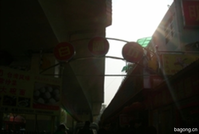时尚宠物 封面大图