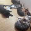 随便选