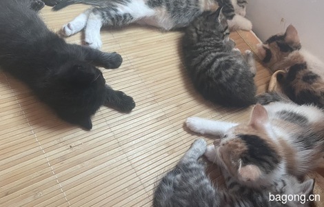 随便选2