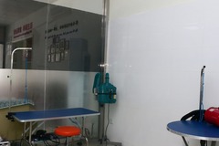 派多格宠物(白银路店)2