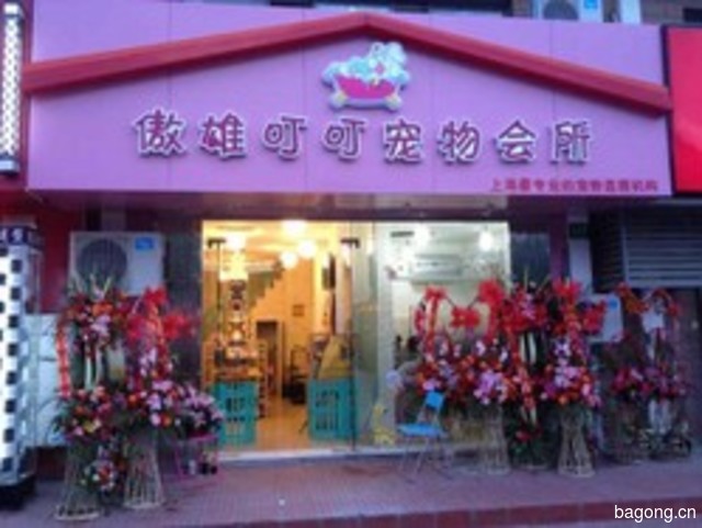 傲雄叮叮宠物美容(御桥路店) 封面大图