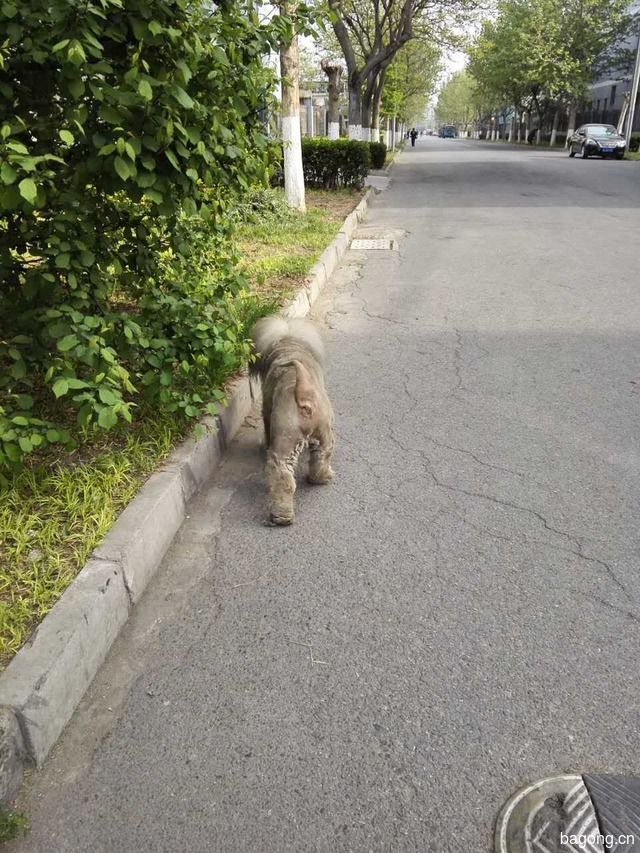 果果妈的宝贝,戳进来点个赞啦~