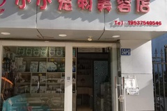 A小小宠物美容店1