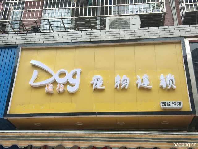 Dog道格宠物连锁 封面大图