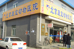 北京康宝动物医院0