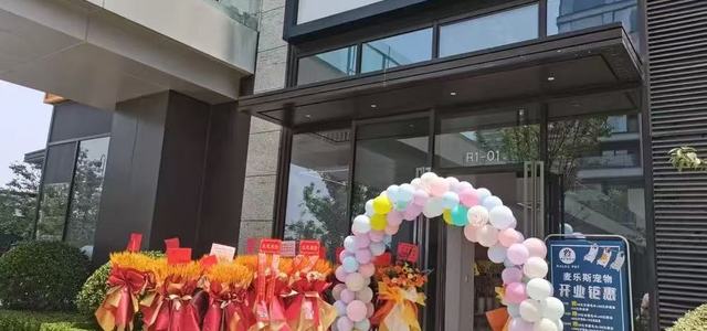 麦乐斯宠物1