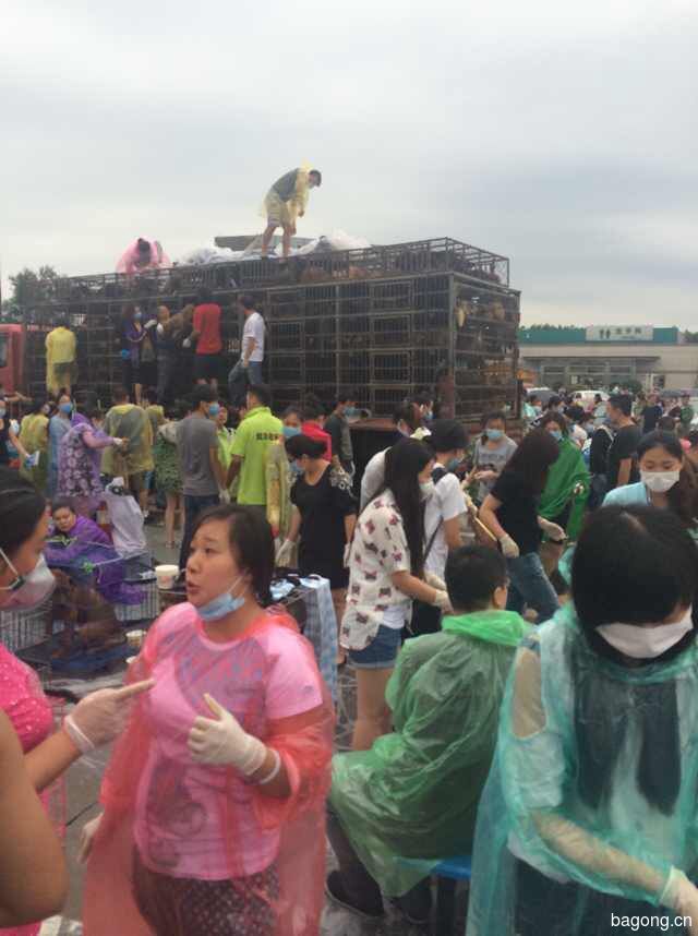 8.03前线发来的最新消息17