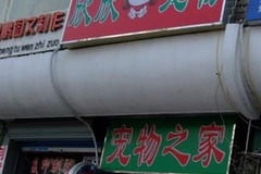 欣欣宠物店0