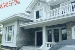 哆旺宠物酒店   宠物训练、寄养3