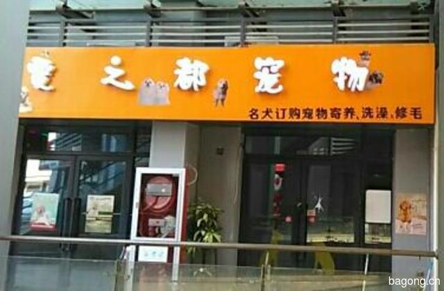 爱之都宠物(美乐城店) 封面大图