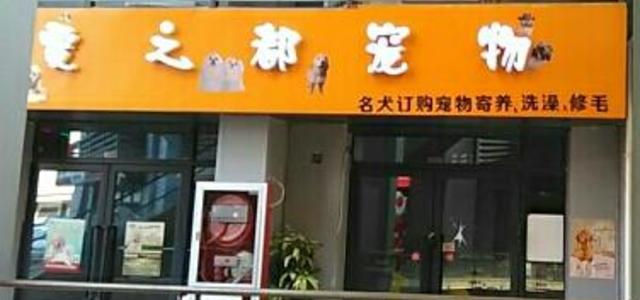 爱之都宠物(美乐城店)0