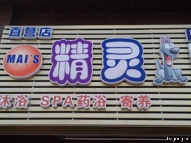 精灵狗宠物店 封面大图