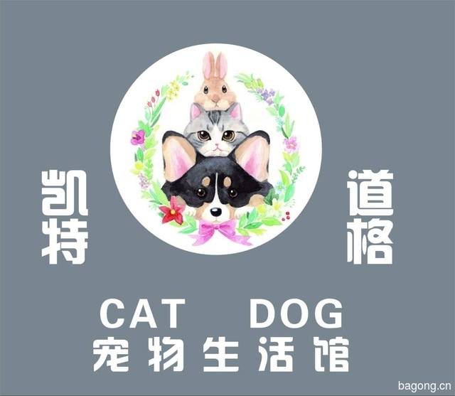 Cat Dog宠物生活馆 封面大图