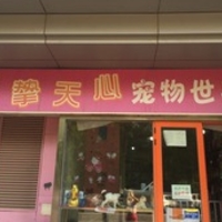 艺挚天心宠物店 封面小图