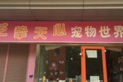 艺挚天心宠物店0