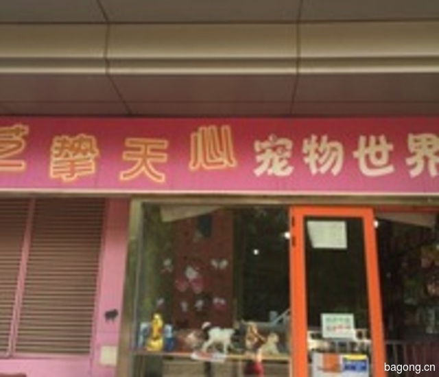 艺挚天心宠物店 封面大图